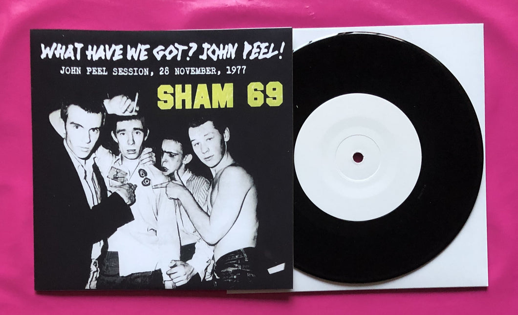 Sham 69 - What Have We Got 7