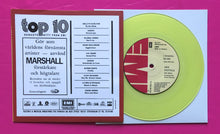 Load image into Gallery viewer, Sex Pistols - Anarchy in the UK 7&quot; Swedish EMI 1977 Style Fantasy Single