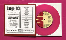 Load image into Gallery viewer, Sex Pistols - Anarchy in the UK 7&quot; Swedish EMI 1977 Style Fantasy Single