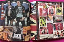 Load image into Gallery viewer, Sex Pistols - Live In Trondheim 1977 LP Blue Vinyl Fold Out Poster Sleeve