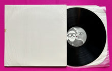 Load image into Gallery viewer, Sex Pistols - Gun Control LP Recorded Live At Winterland SF USA In 1978