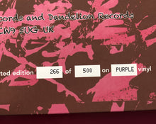 Load image into Gallery viewer, Accident On The East Lancs - Rainy City Punk Vol 2 Double LP Purple Vinyl