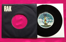 Load image into Gallery viewer, The Vibrators - We Vibrate / Whips and Furs RAK Records 7&quot; Single