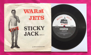 Warm Jets - Sticky Jack 7" Single Released on Bridge House Records in 1978