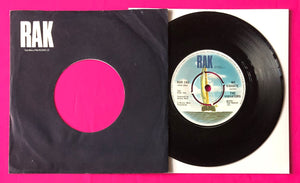 The Vibrators - We Vibrate 7" Single UK Press on RAK Records From 1976